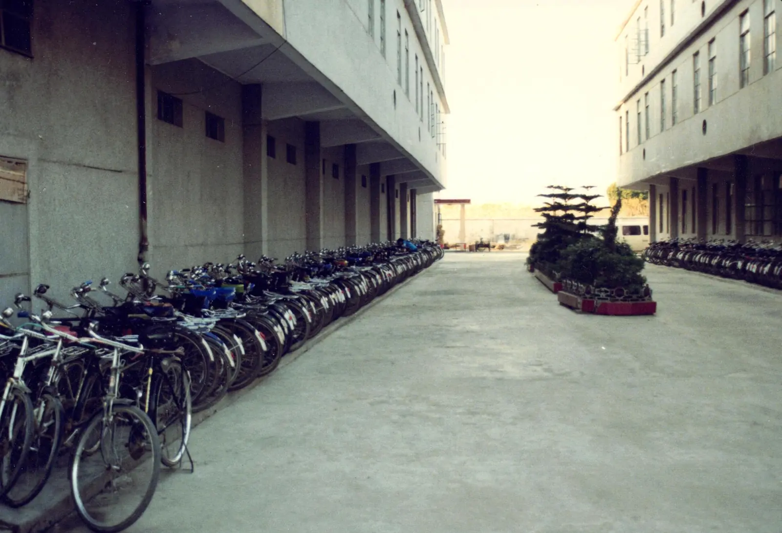 Lange Reihe abgestellter Fahrräder 1987 in Xiamen, China